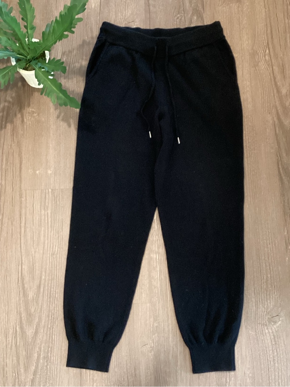 Quince Mongolian Cashmere Sweatpants